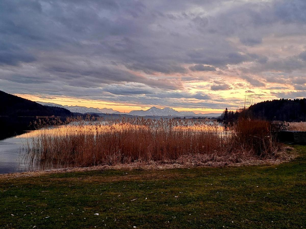 Ferienwohnung Wallersee Neumarkt am Wallersee Eksteriør billede